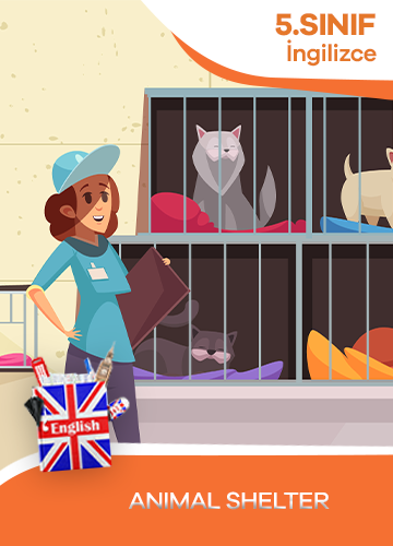 5. Sınıf İngilizce Animal Shelter konu resmi