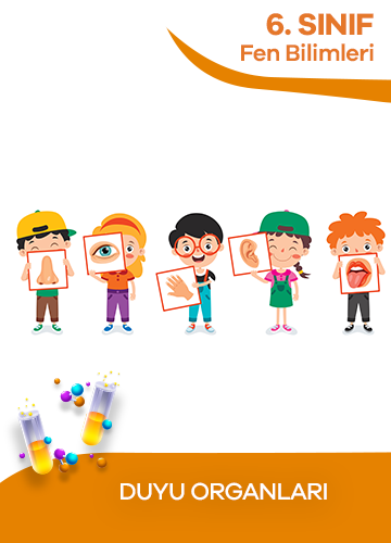 6. Sınıf Fen Bilimleri Duyu Organları konu resmi