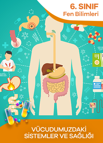 6. Sınıf Fen Bilimleri Vücudumuzdaki Sistemler ve Sağlığı konu resmi