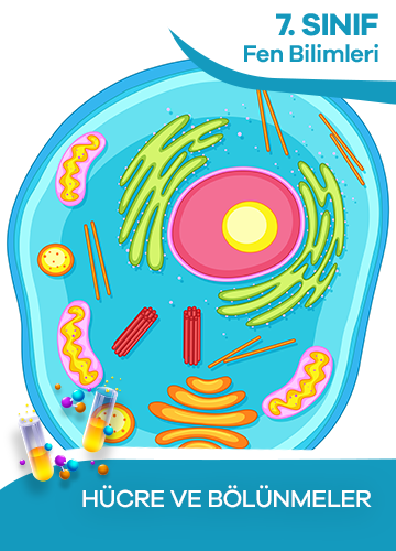 7. Sınıf Fen Bilimleri Hücre ve Bölünmeler konu resmi