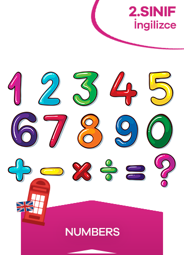2. Sınıf İngilizce 4. Ünite Numbers konu resmi