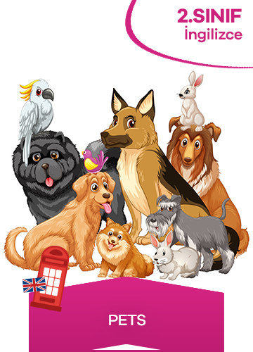 2. Sınıf İngilizce 8. Ünite Pets konu resmi