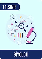 11. Sınıf Biyoloji test çöz resmi