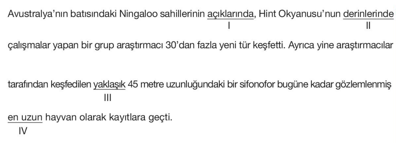 soru gorseli
