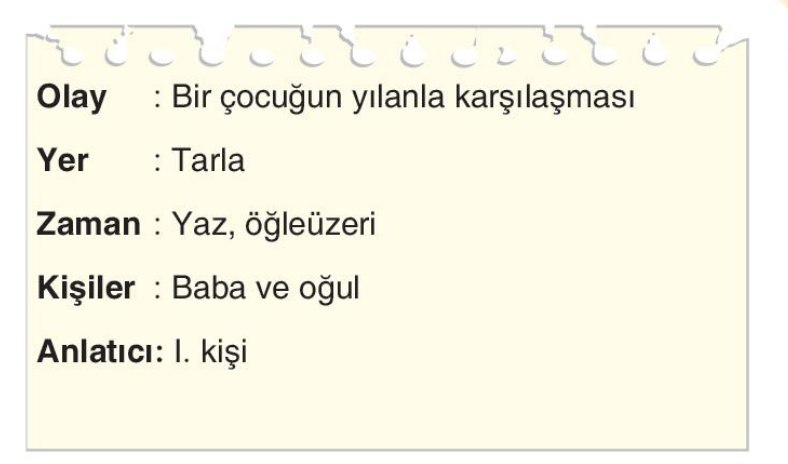 soru gorseli