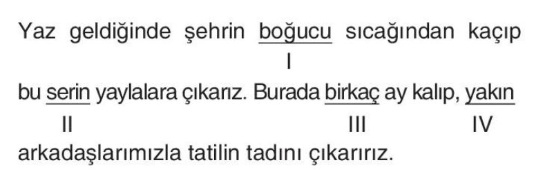 soru gorseli