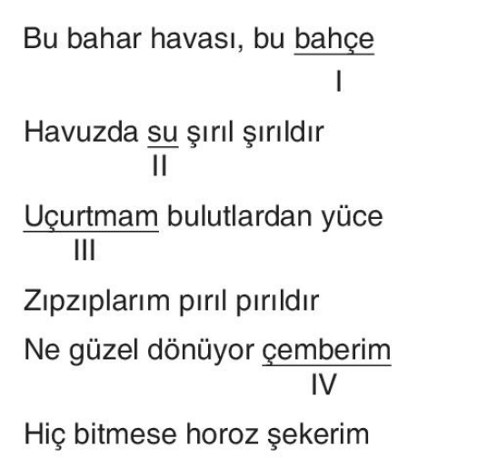 soru gorseli